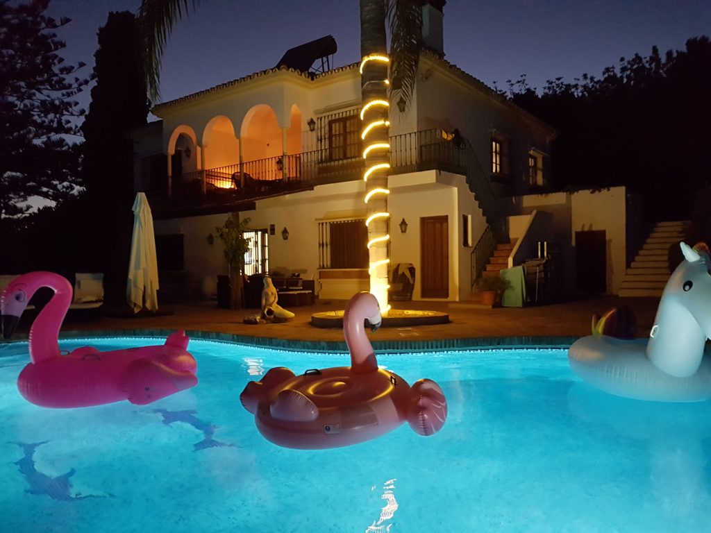 Pool by night with inflatable swans !