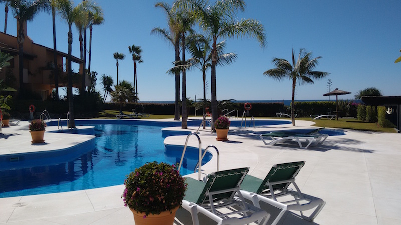 Image shows beautiful large swiming pool and palm tress blue skyes and sea views