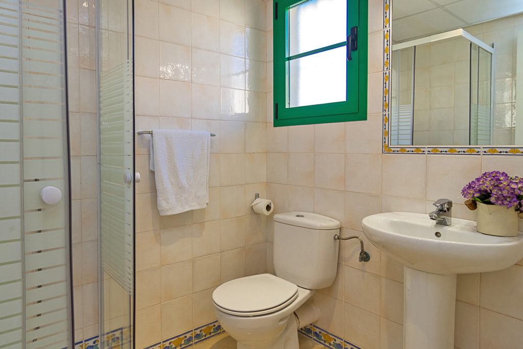 Image shows walk in shower with basin and toilet
